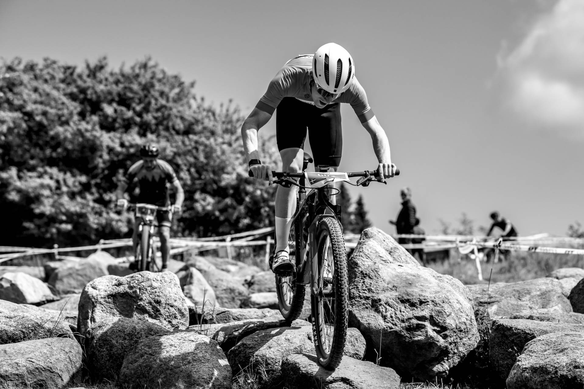 Sport